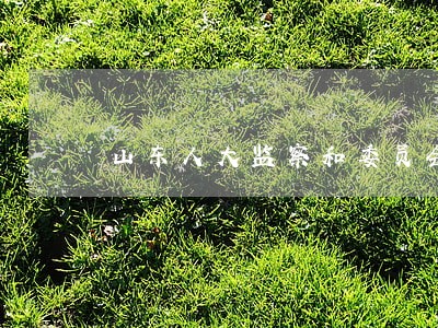 山东人大监察和委员会