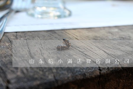 山东信小满法律咨询公司 山东信小满法律咨询公司
