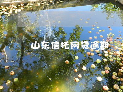 山东信托网贷逾期 山东信托网贷逾期
