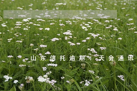 山东信托逾期4天会通讯录吗 山东信托逾期4天会通讯录吗