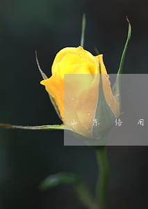 山东信用卡逾期重灾区 山东信用卡逾期重灾区