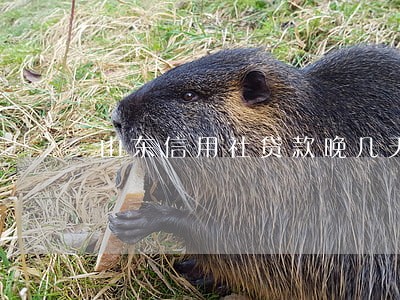 山东信用社贷款晚几天不算逾期 山东信用社贷款晚几天不算逾期
