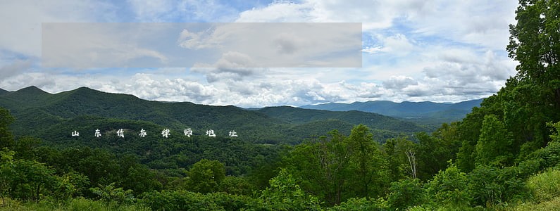 山东债务律师地址 山东债务律师地址
