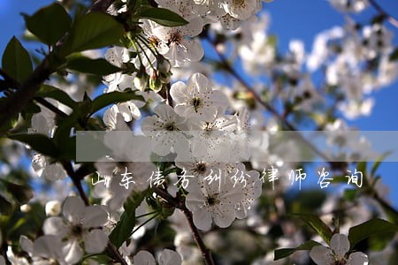 山东债务纠纷律师咨询 山东债务纠纷律师咨询
