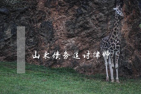 山东债务追讨律师 山东债务追讨律师
