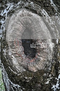 山东债务风险代理律师联系方式 山东债务风险代理律师联系方式