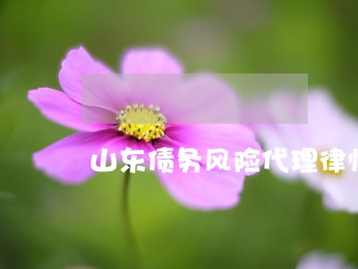山东债务风险代理律师费用标准 山东债务风险代理律师费用标准