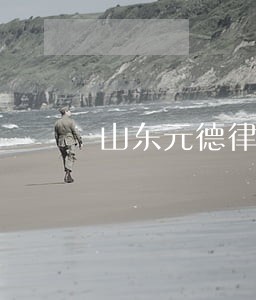 山东元德律师事务所