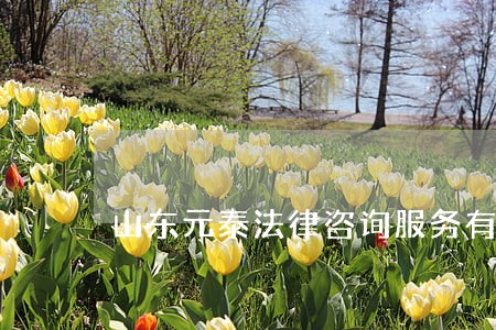 山东元泰法律咨询服务有限公司 山东元泰法律咨询服务有限公司