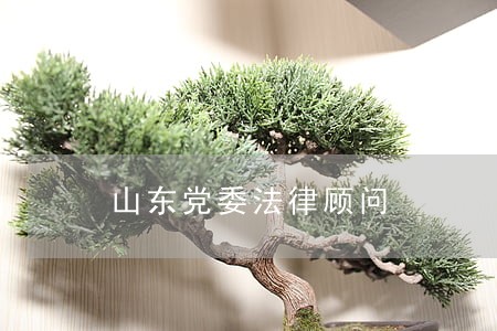 山东党委法律顾问