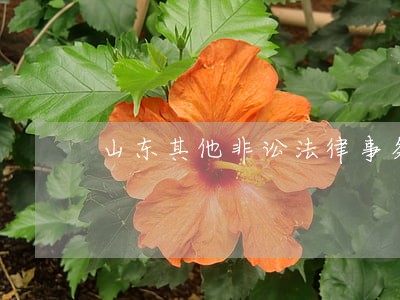 山东其他非讼法律事务律师