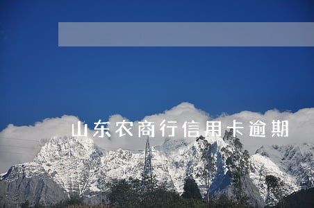 山东农商行信用卡逾期 山东农商行信用卡逾期