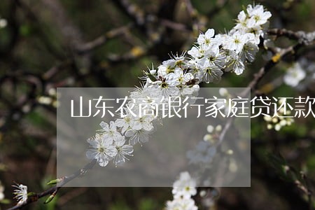 山东农商银行家庭贷还款逾期