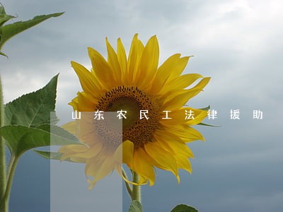 山东农民工法律援助