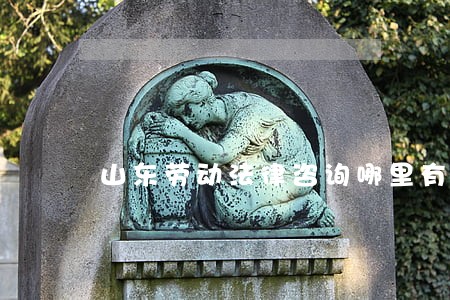 山东劳动法律咨询哪里有 山东劳动法律咨询哪里有