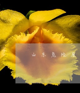 山东危险废物犯罪律师咨询专线