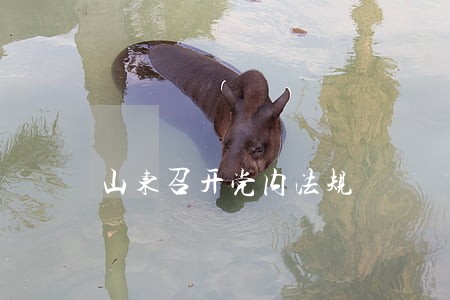 山东召开党内法规 山东召开党内法规