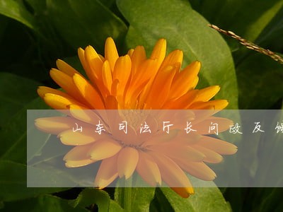山东司法厅长问政反馈 山东司法厅长问政反馈