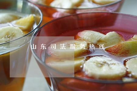 山东司法服务热线 山东司法服务热线