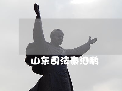山东司法秦泗鹏