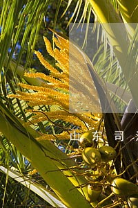 山东司法考试3 山东司法考试3