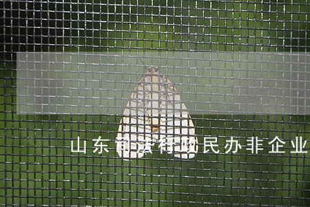 山东司法行政民办非企业 山东司法行政民办非企业