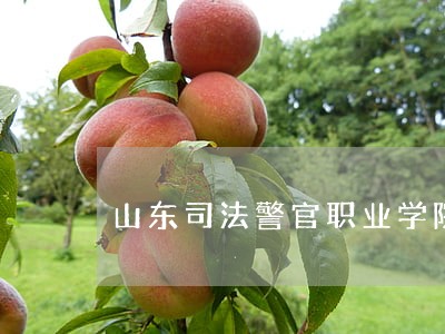 山东司法警官职业学院工作