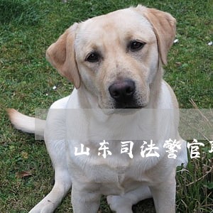 山东司法警官职业学院招人 山东司法警官职业学院招人