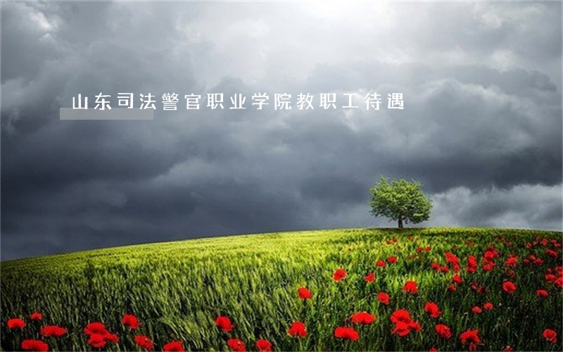 山东司法警官职业学院教职工待遇