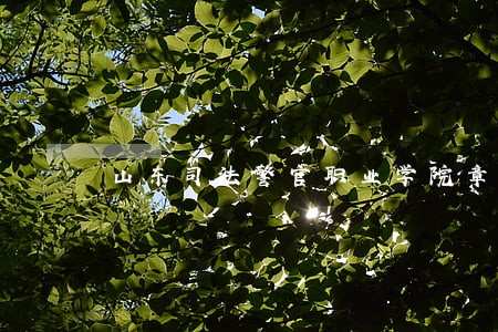 山东司法警官职业学院章丘