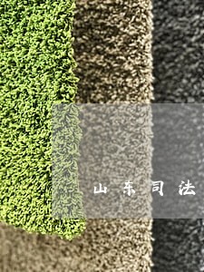 山东司法警官职业学院邮小二 山东司法警官职业学院邮小二