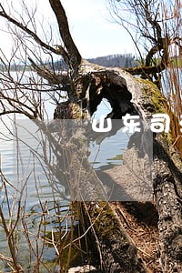 山东司法警官职业学院院校代号 山东司法警官职业学院院校代号
