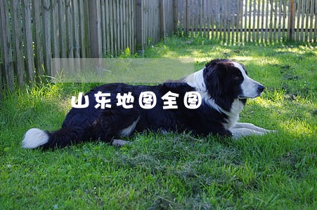山东地图全图 山东地图全图