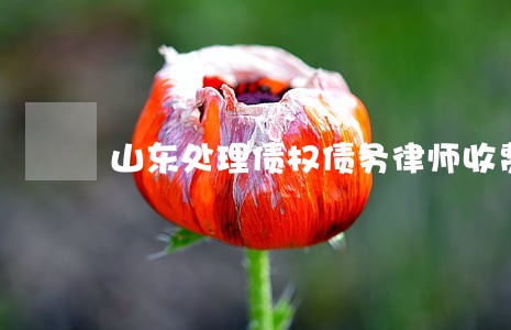 山东处理债权债务律师收费 山东处理债权债务律师收费