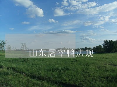 山东屠宰鸭法规 山东屠宰鸭法规