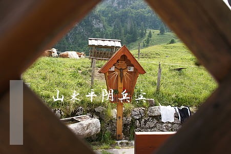 山东平阴兵宾 山东平阴兵宾