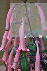 山东强源律师事务所