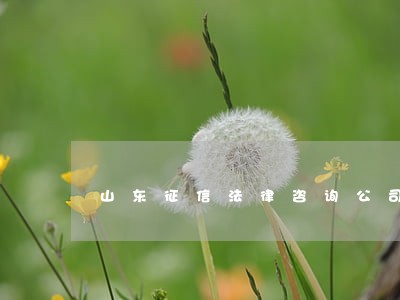 山东征信法律咨询公司 山东征信法律咨询公司