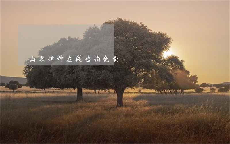 山东律师在线咨询免费 山东律师在线咨询免费