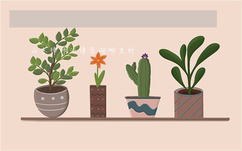 山东律师法律咨询哪里好 山东律师法律咨询哪里好