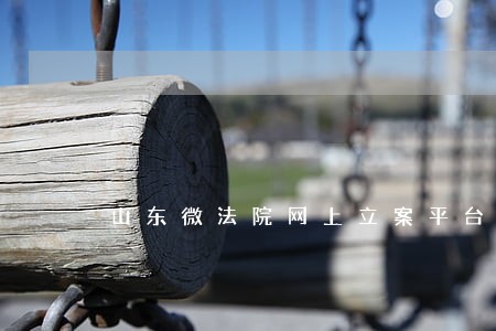 山东微法院网上立案平台 山东微法院网上立案平台