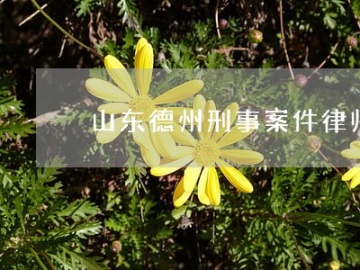 山东德州刑事案件律师团队 山东德州刑事案件律师团队