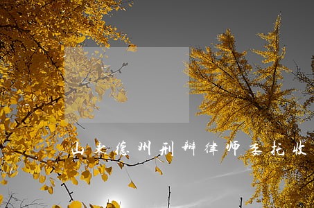 山东德州刑辩律师委托收费 山东德州刑辩律师委托收费