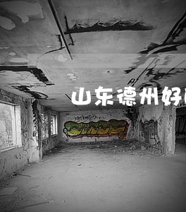山东德州好的合同起草律师费