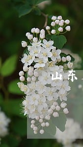山东成人高考专升本民法试题 山东成人高考专升本民法试题