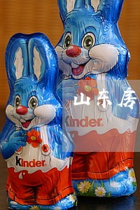 山东房产律师事务 山东房产律师事务
