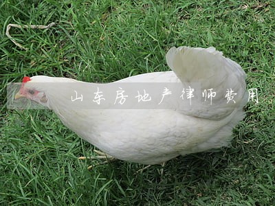 山东房地产律师费用 山东房地产律师费用