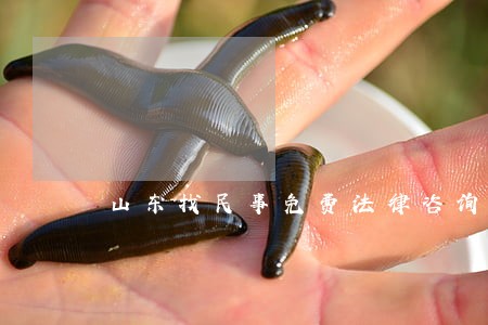 山东找民事免费法律咨询 山东找民事免费法律咨询