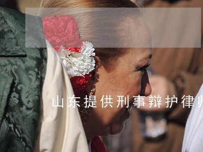 山东提供刑事辩护律师服务