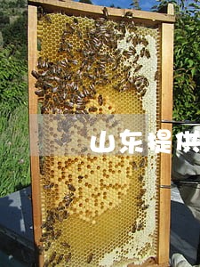 山东提供离婚律师价格 山东提供离婚律师价格